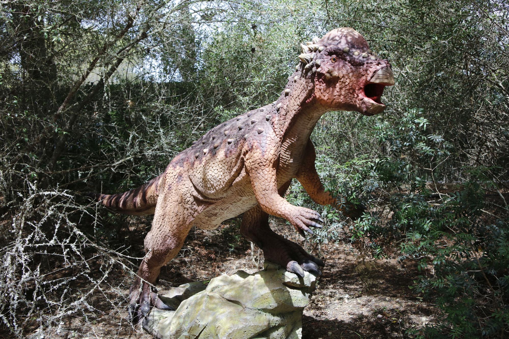 Besuch im neuen Dino-Park auf Mallorca