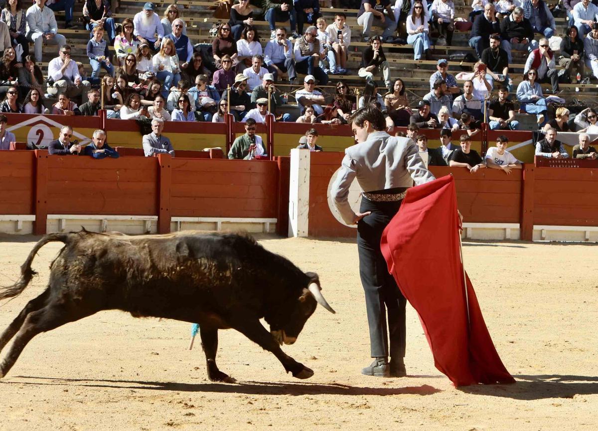 Éxito artístico en el V certamen José María Manzanares de Alicante