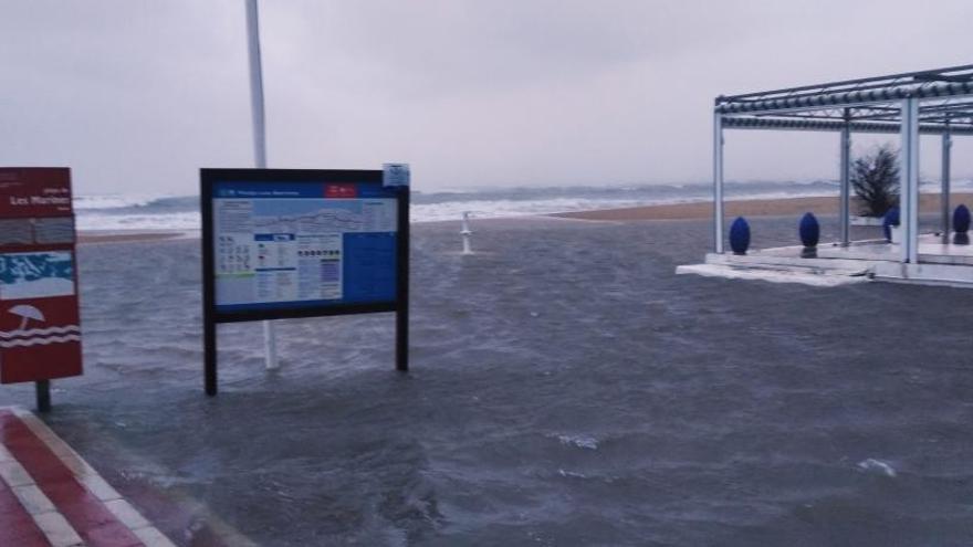 El temporal derriba árboles y terrazas en la Marina Alta e inunda accesos en les Marines de Dénia