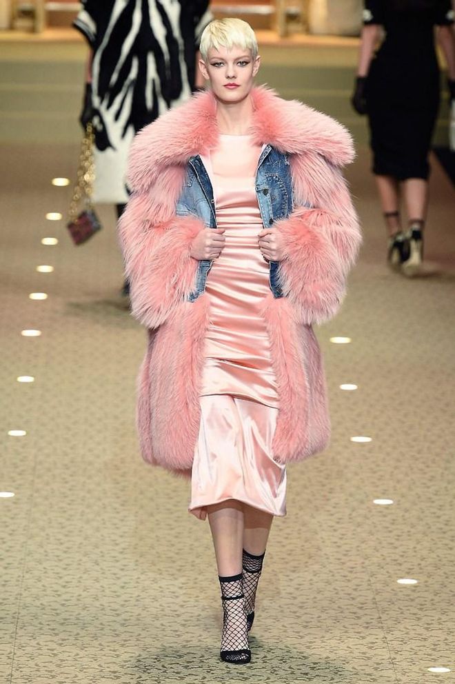 Dolce & Gabbana