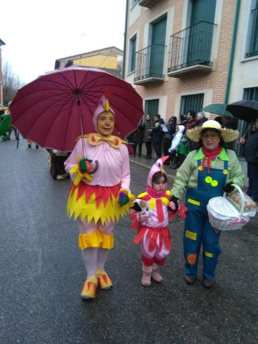 Carnaval en Toro: Desfile de adultos