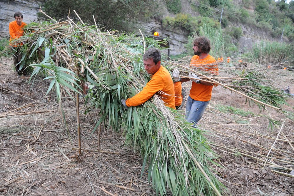 Neteja de la vora del riu Cardener a càrrec dels membres i voluntaris del projecte Invulnerables