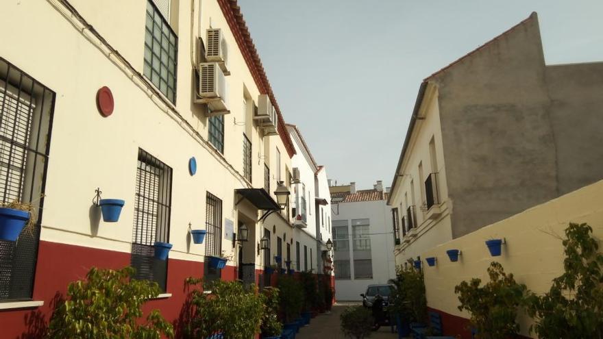 El concurso anual de los corralones del Perchel y La Trinidad se deja sentir en rincones como este, de la trinitaria calle Jara, que los vecinos han llenado de plantas.