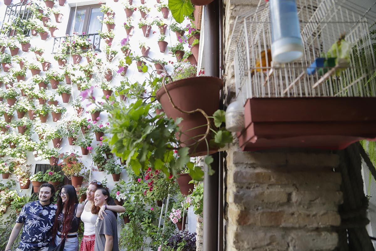 Patio Martín de Roa 9