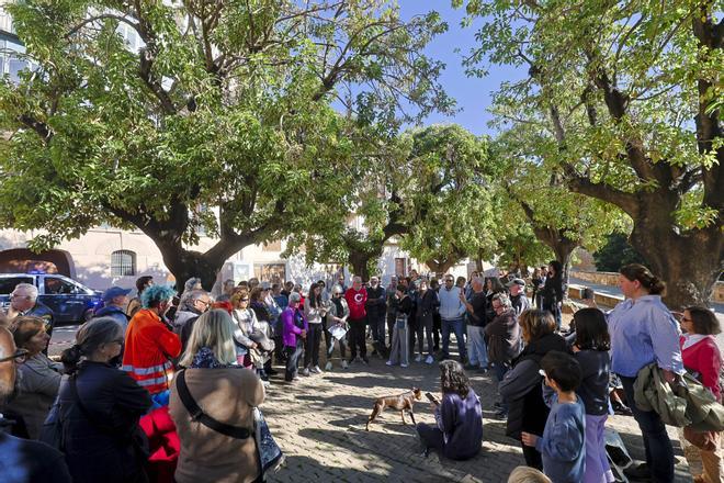 Así ha sido la protesta vecinal contra la tala de los bellasombra