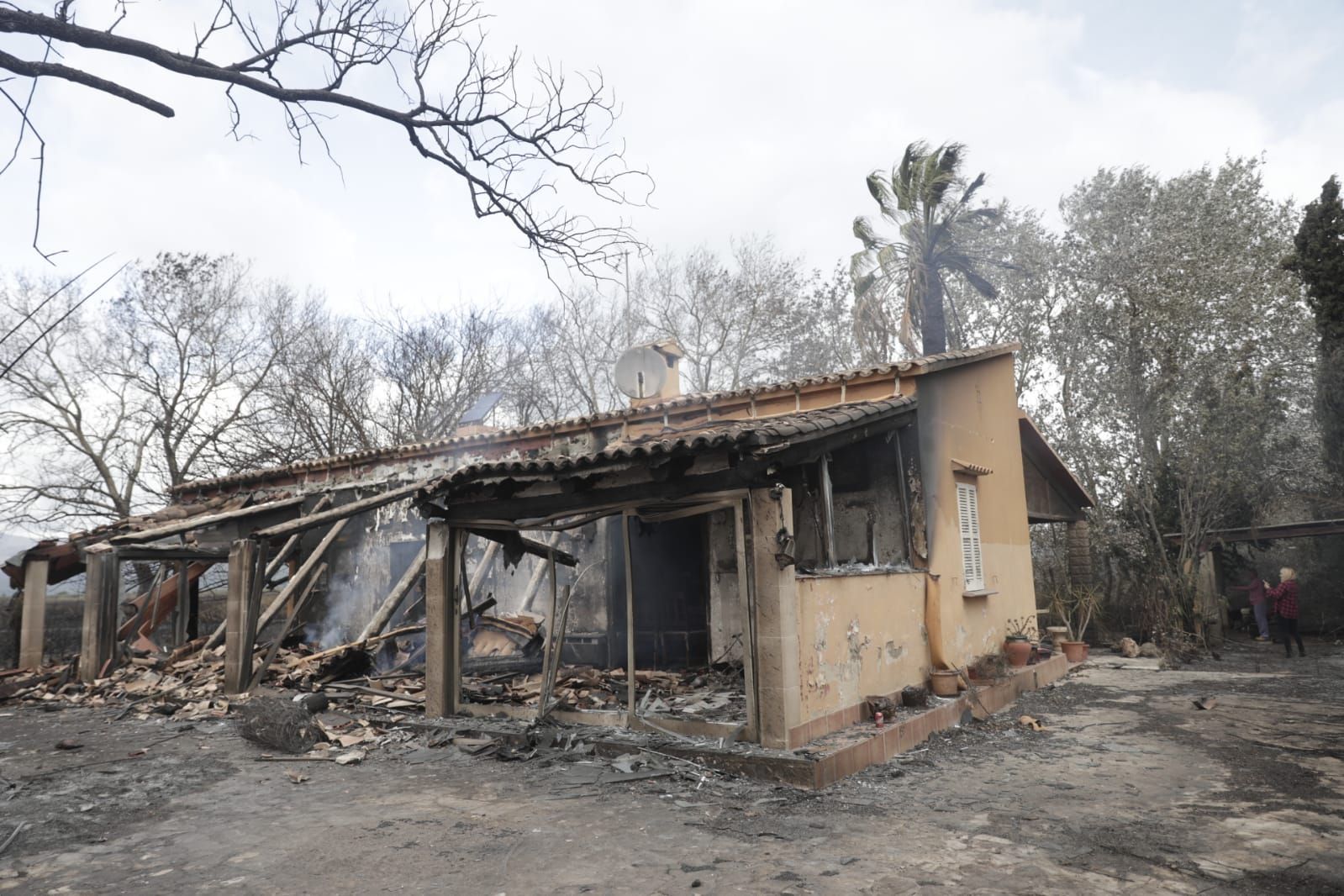 Incendio en s'Albufera de Muro