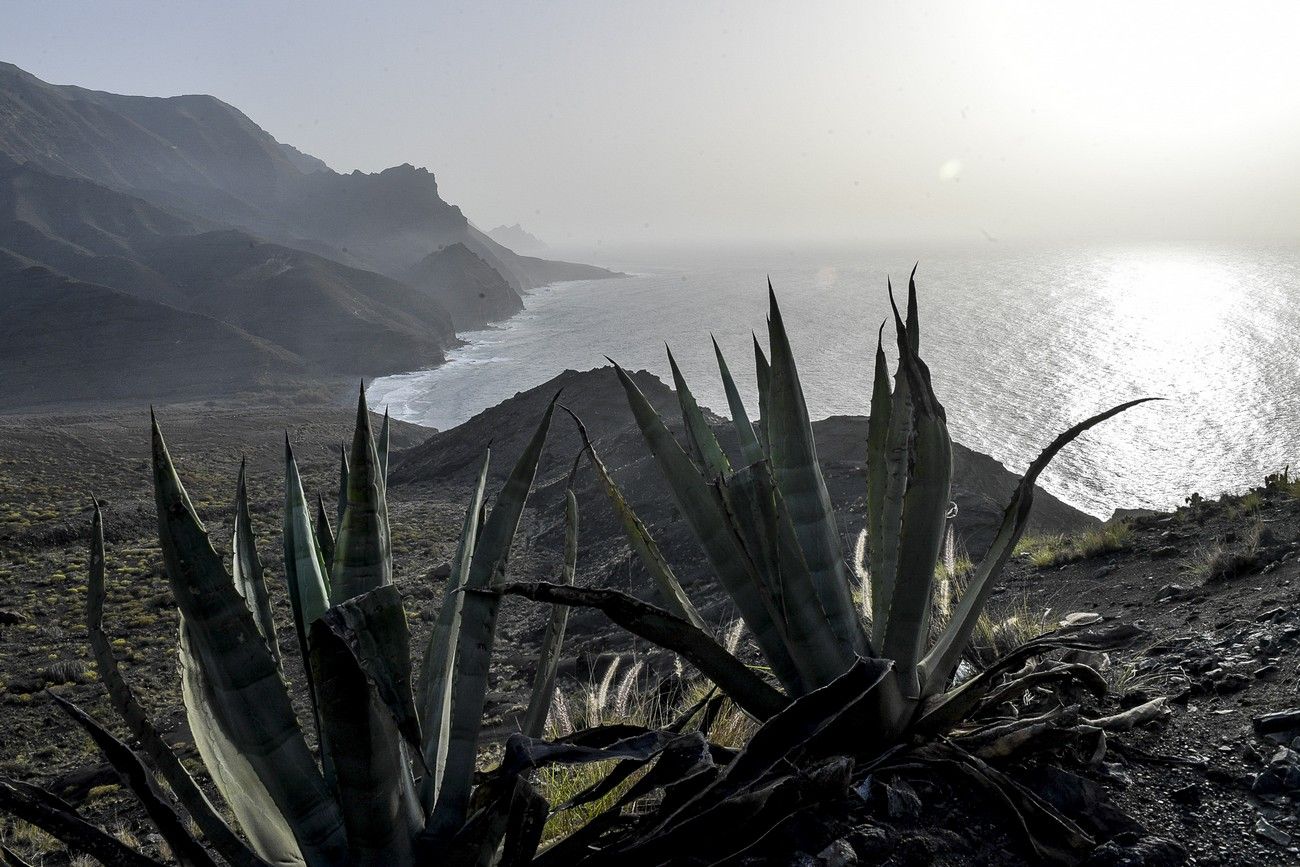 Calima en Gran Canaria (18/04/22)