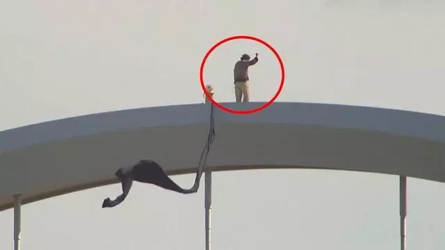 Un activista lleva cuatro días subido a un puente en Washington por la guerra en Irán