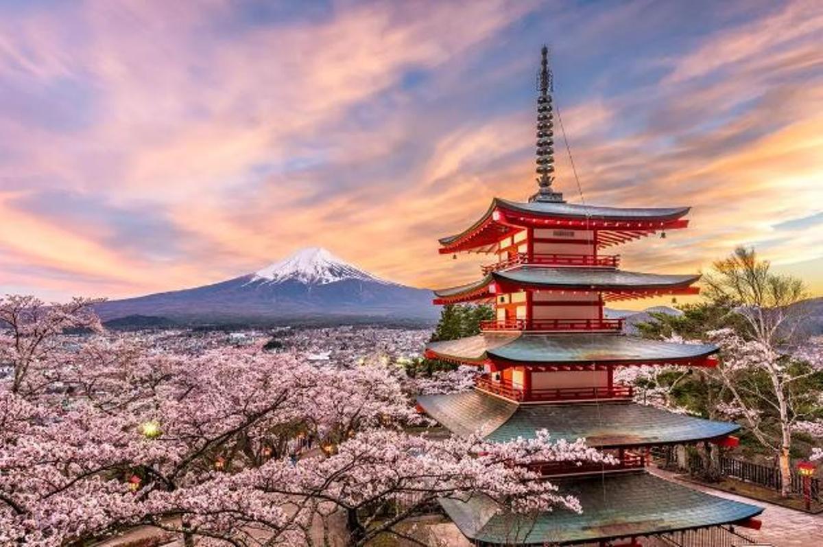 Admira la floració del cirerer a Japó.