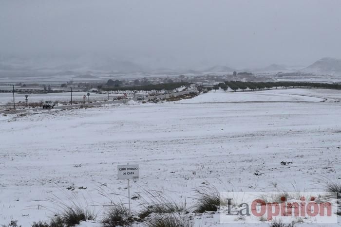 Nieve en Coy y Avilés (Lorca)