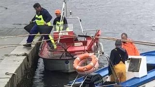 Los mariscadores de Muros-Noia cerrarán el jueves la campaña más corta de la historia por la escasez de bivalvos