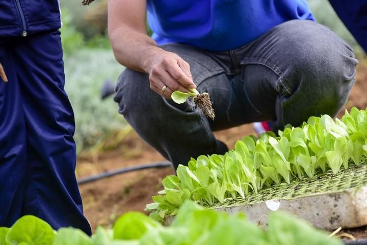 Visita escolar a la Granja Agricola del Cabildo