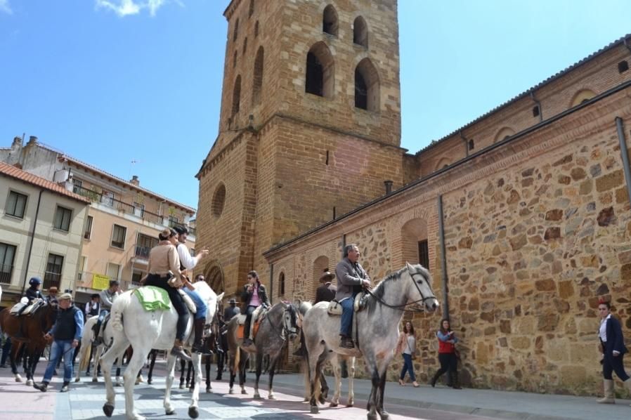 Día del Caballo en Benavente