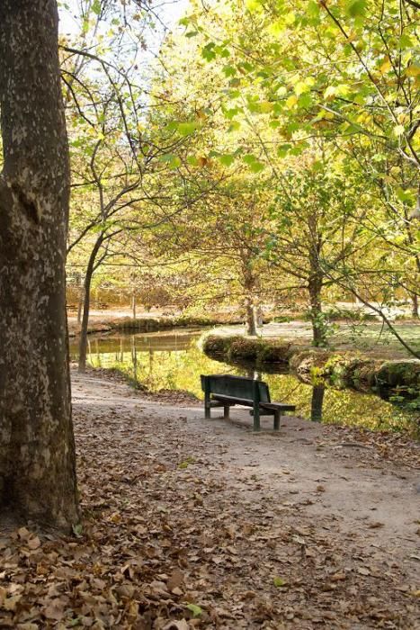 Fuentes del Marques: El otoño nace en Caravaca