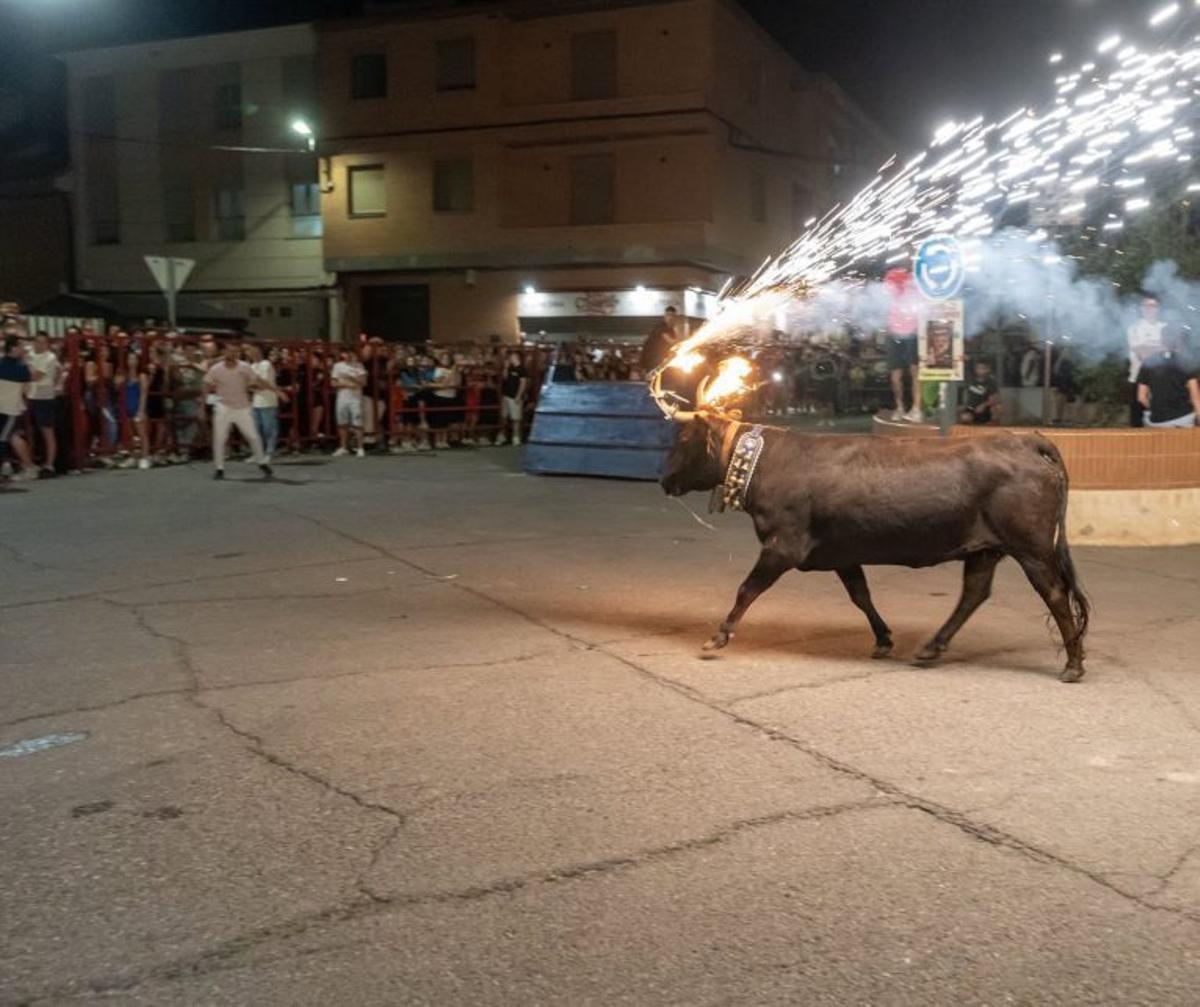 Los festejos taurinos animaron a grandes y pequeños.