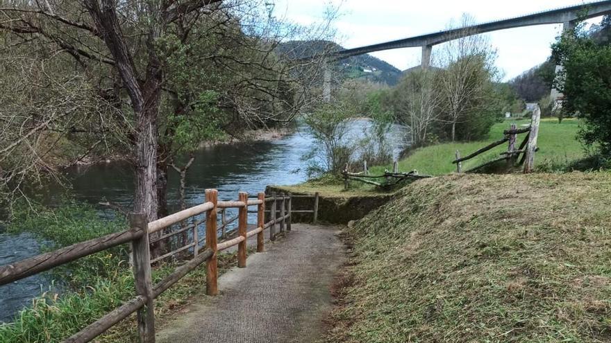 Salas pone a punto sus cotos salmoneros del Narcea ante la inminente apertura de la temporada de pesca con muerte