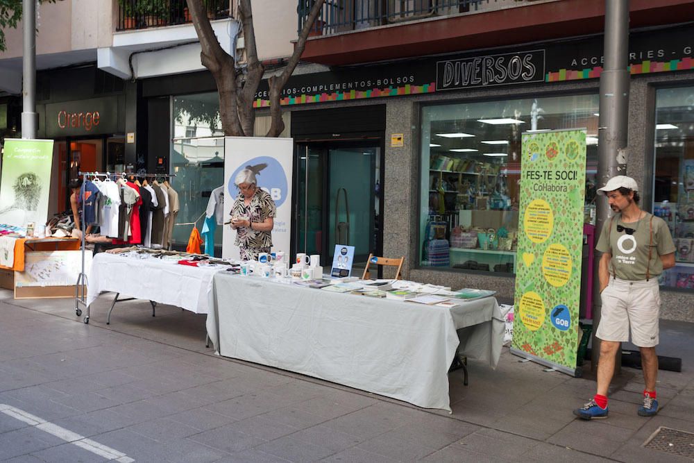 Diada del Medio Ambiente en Palma