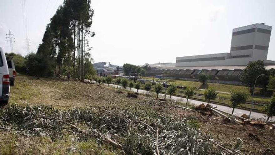 Arcelor desbroza la carretera de La Granda