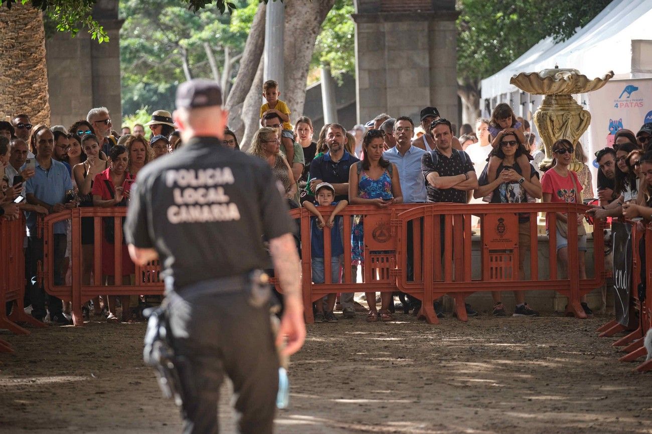 Día de los Animales en Santa Cruz