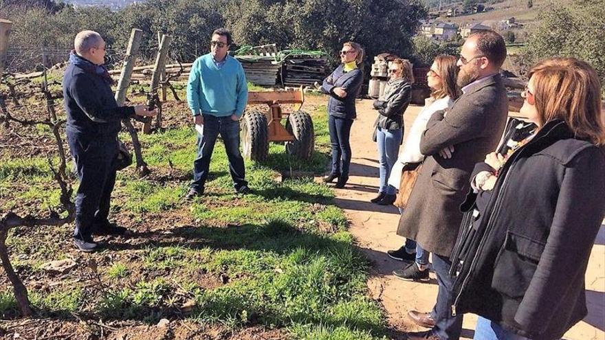 Mucho codillo y bodegas, en el viaje hasta A Rúa