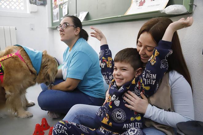 Perros en los colegios de Córdoba para alumnos con necesidades educativas especiales