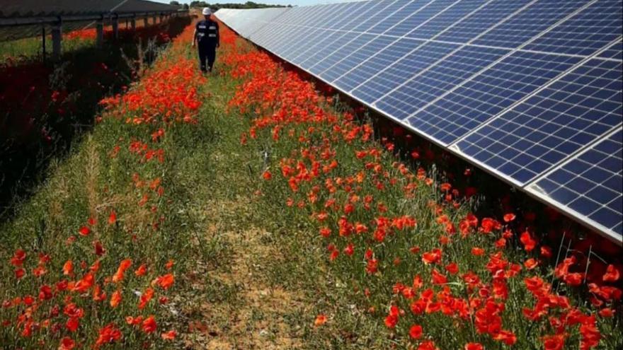 Los seguidores solares más flamantes de Solar Steel