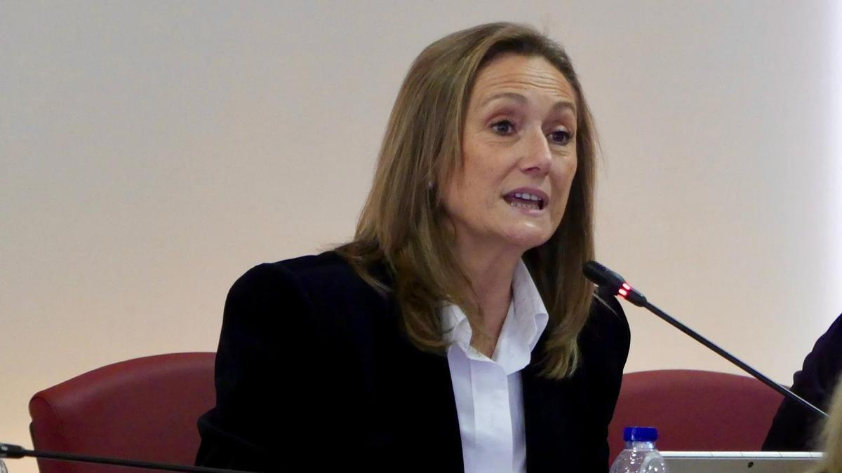 Luisa Sánchez, durante un pleno del Concello de Vigo.