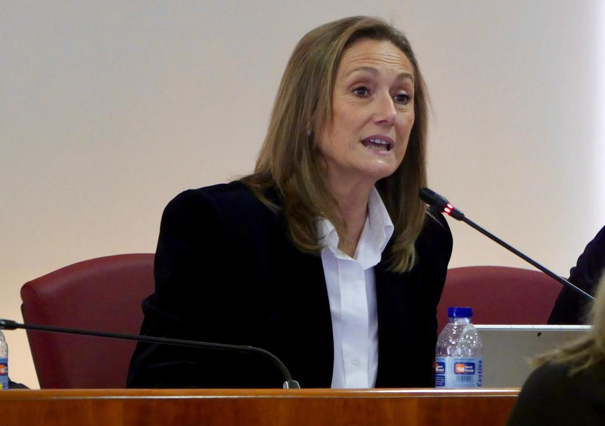 Luisa Sánchez, durante un pleno del Concello de Vigo.