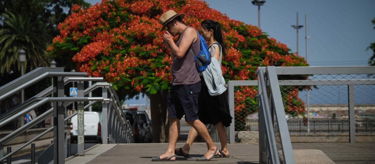 Ola de calor en Tenerife