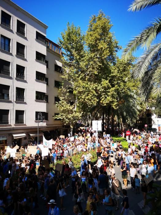 Die große Klimaschutz-Demo auf Mallorca