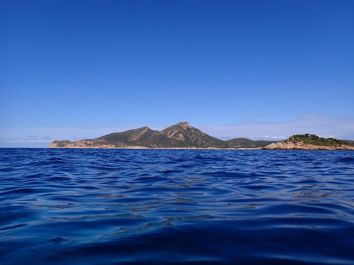 Las imágenes de la retirada de residuos marinos en Sant Elm