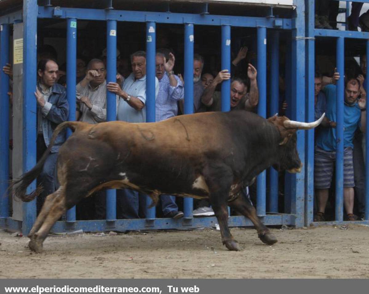 GALERÍA DE FOTOS -- Almassora late con toros bravos pese a la lluvia