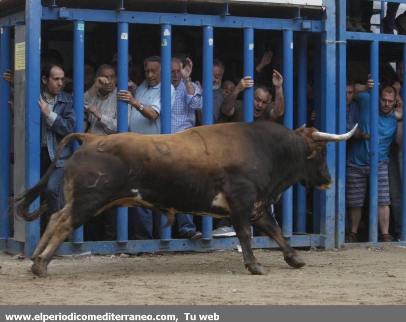 GALERÍA DE FOTOS -- Almassora late con toros bravos pese a la lluvia