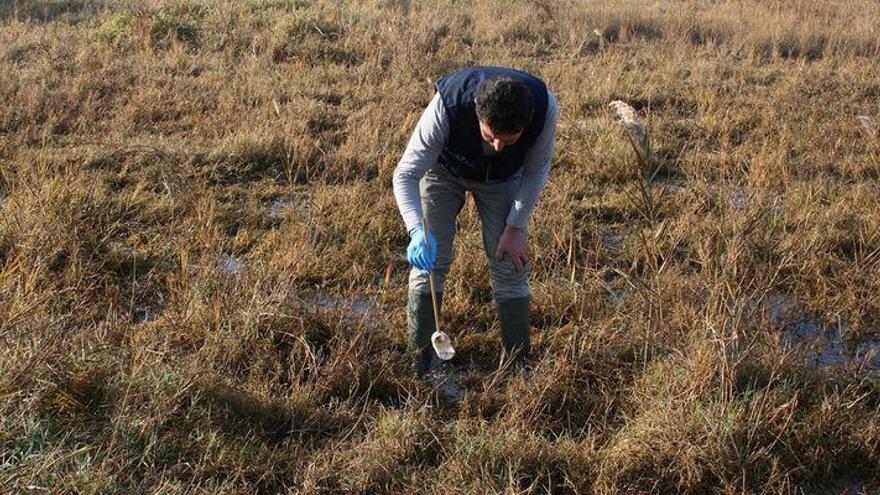 Avanzan tratamientos por la posible llegada de mosquitos a final de abril