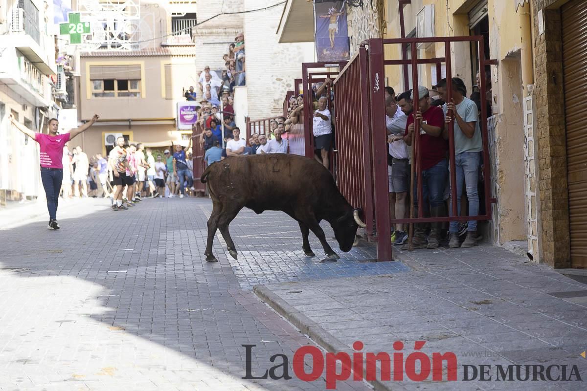 Cuarto encierro en las Fiestas de Moratalla