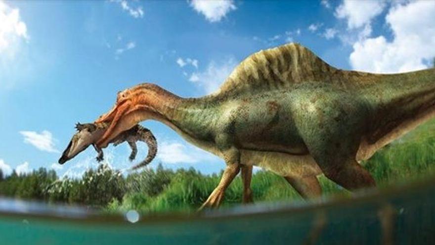 Descubren la primera especie de dinosaurio espinosaurio en Vallibona