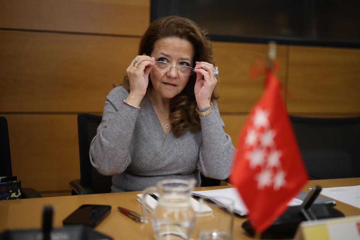 12/12/2025 La consejera de sanidad de la Comunidad de Madrid, Fátima Matute.