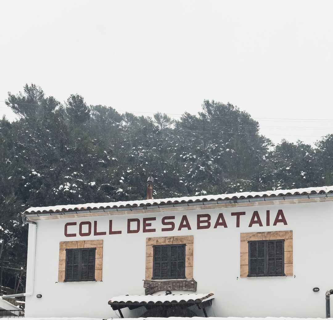 Las fotos de la nieve en Mallorca de nuestros lectores