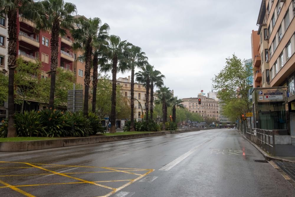 Solo dos de cada diez vehículos circulan por las calles de Palma