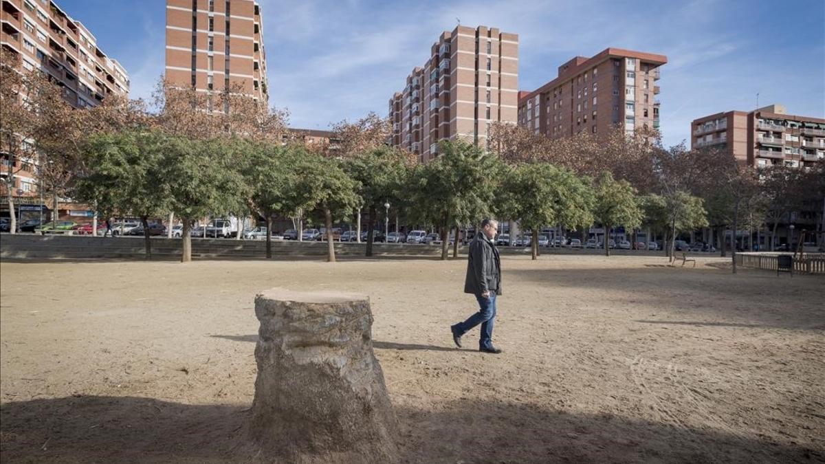 Plaza de la Palmera