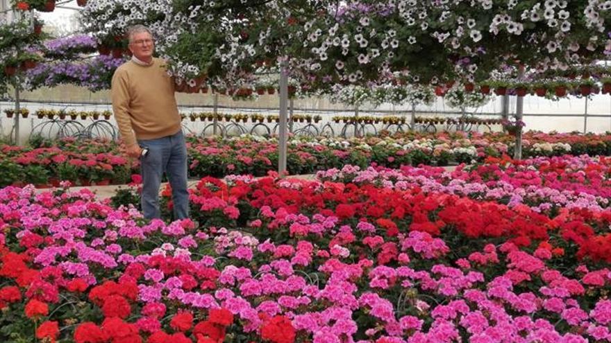 Coronavirus en Córdoba: los viveros pierden su temporada alta y se ven abocados a tirar miles de plantas sin vender