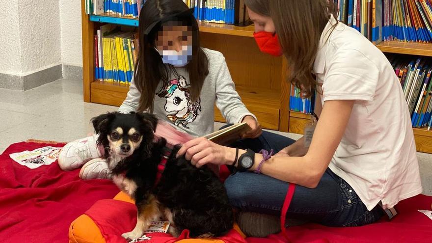 Mascotas para fomentar la lectura en Alicante