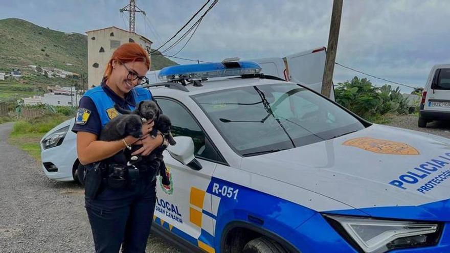 La Policía Local  de Las Palmas de Gran Canaria refuerza la mediación y el control municipal con más de 1.300 actuaciones