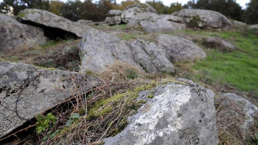 La actuación en el Castro de Toiriz contará con trabajos de limpieza. // Bernabé/Javier Lalín