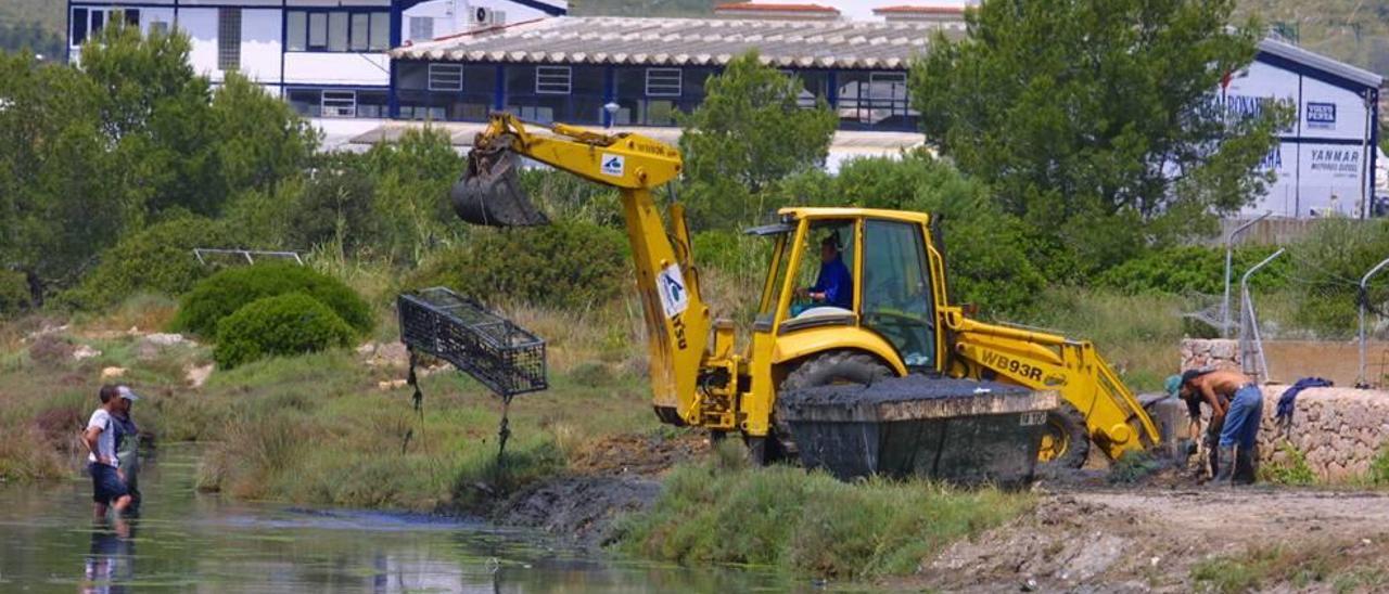 Limpieza del torrente de la Gola, en Pollença.