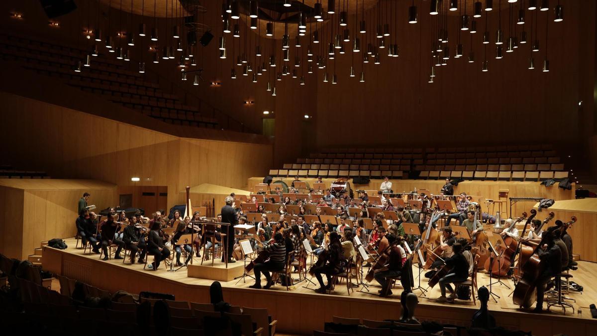 La Joven Orquesta Nacional de España es uno de los modelos a seguir en esta nueva propuesta.