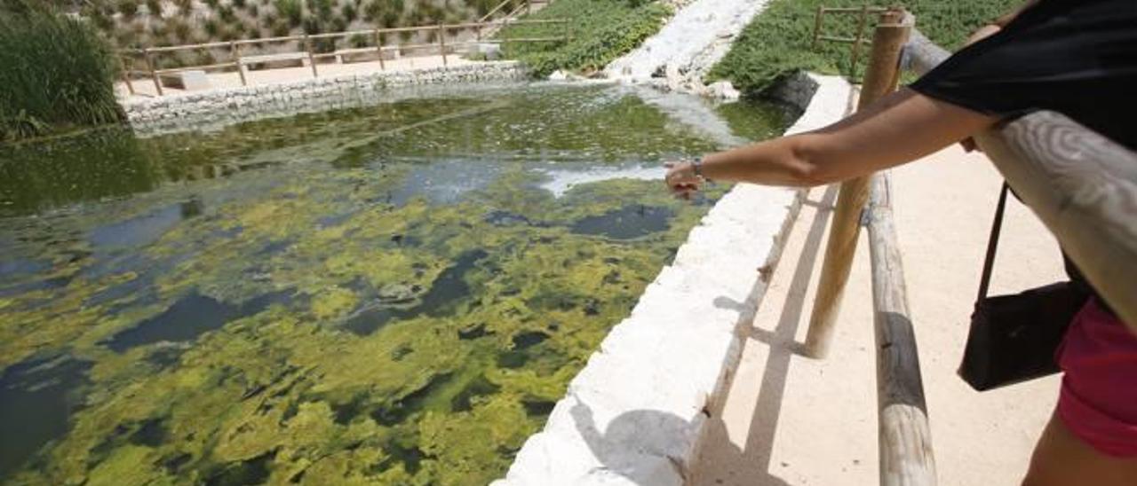 Un parque demasiado verde