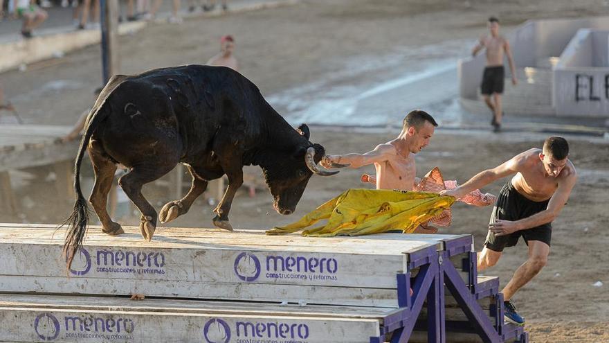 El intenso calor pasa factura en el tercer turno del concurso de ganaderías de les Penyes en Festes de la Vall