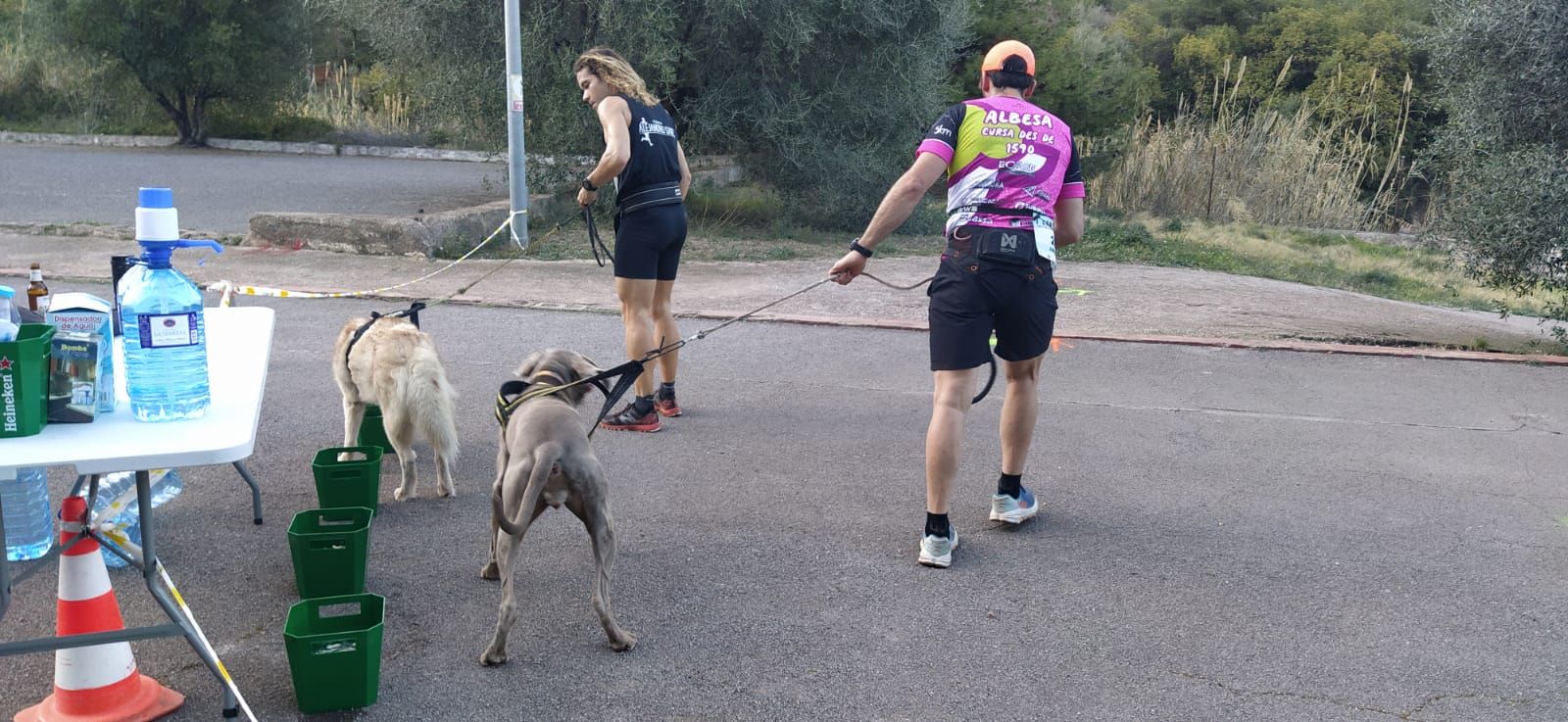 El emotivo Canicross de la falla Sud-oest de la Vall, en imágenes