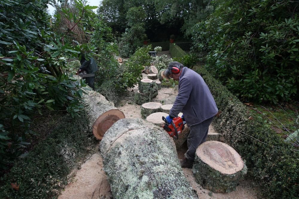 Coletazos del temporal en Tabeirós-Montes